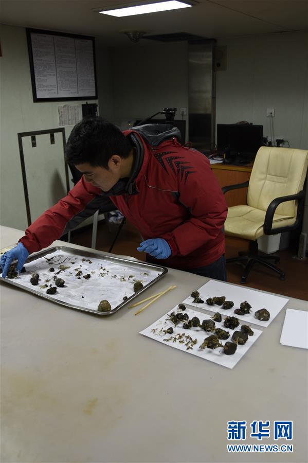 （第33次南极科考·图文互动）（1）“海洋六号”首次采获南极海底生物样品