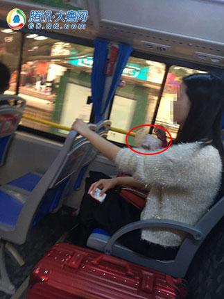 深圳美女公交上吃臭豆腐 男乘客：我很鄙视