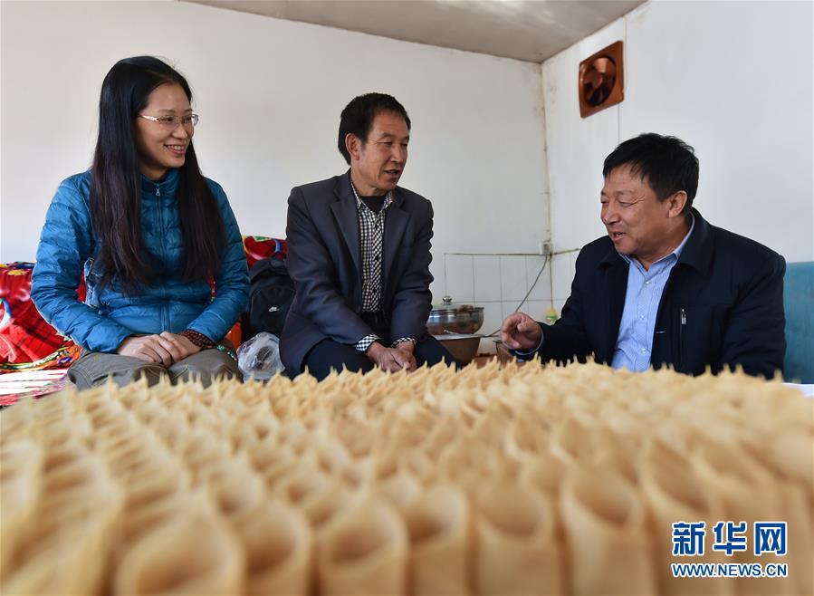 (图文互动)(4)脱贫战场上的“娘子军”