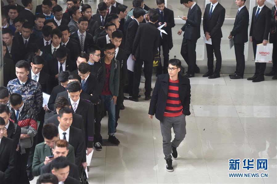 空乘招聘美女如云