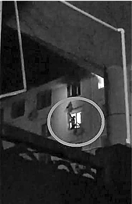 母女为避大火跳楼 消防官兵徒手将人接住【图】