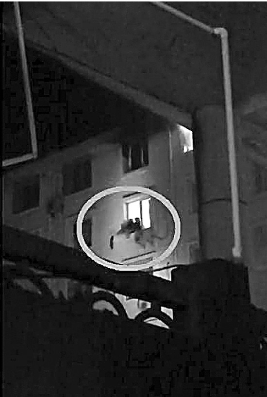 母女为避大火跳楼 消防官兵徒手将人接住【图】