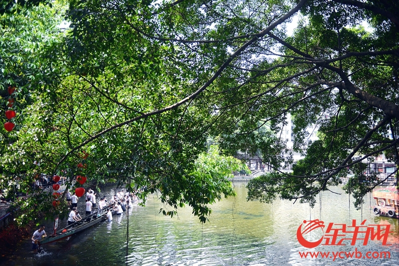 一年一度的'五月五,龙船鼓'又来了! 游玩攻略都在这里