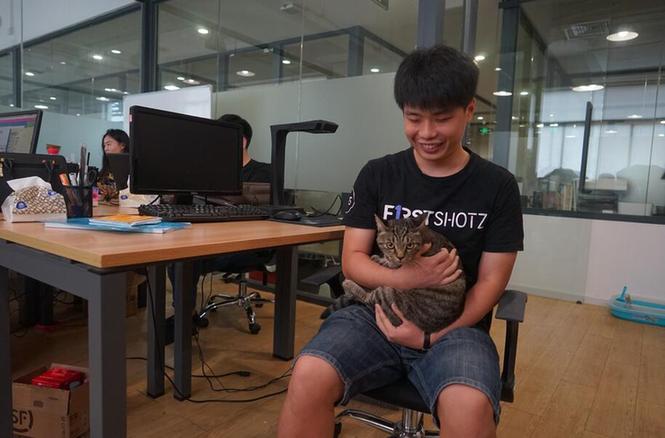 被称为“姐姐”的猫和她待的公司的创业者