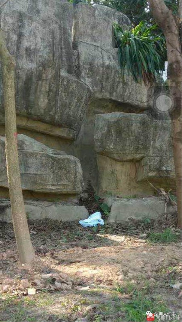 狠心!龙岗公园角落发现弃婴 才刚出生几天(图)