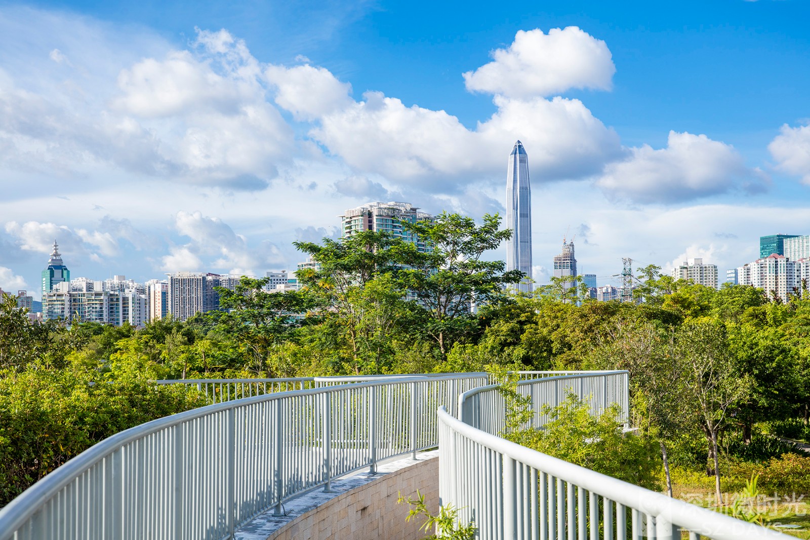 曾经的边防禁地免费开放后成深圳cbd最原生态的绿洲